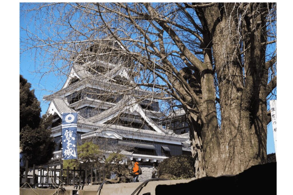 熊本城伝説　熊本城七不思議　熊本城イチョウの木　銀杏城　大銀杏