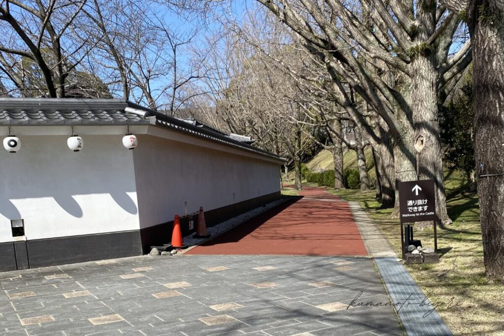 熊本城桜の馬場城彩苑