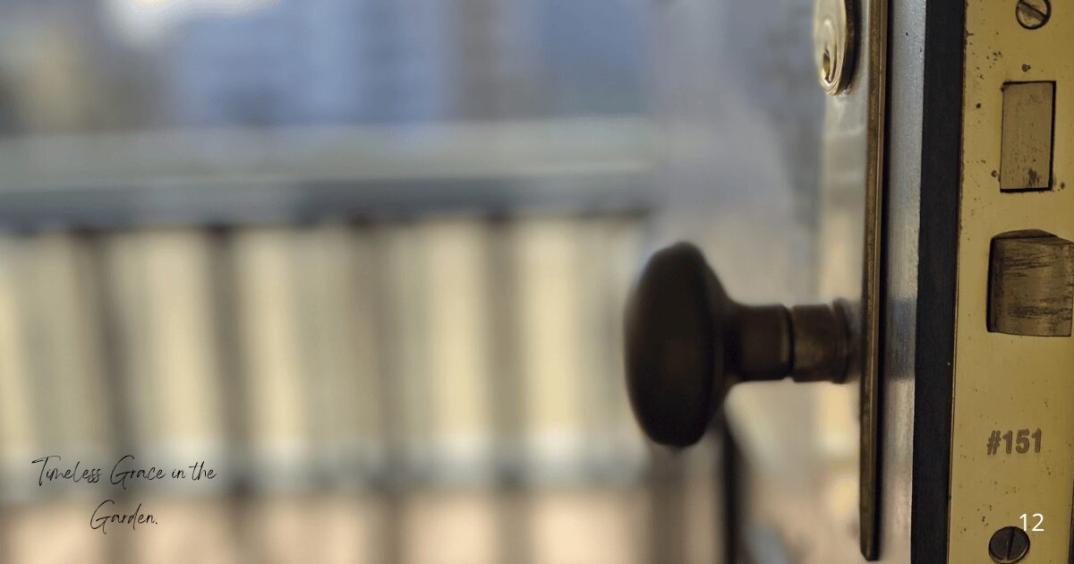 熊本ジェーンズ邸