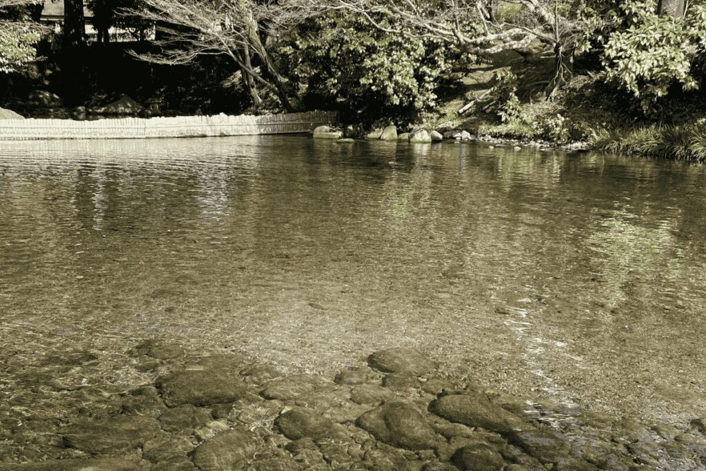 きらきらと輝く水前寺成趣園の池