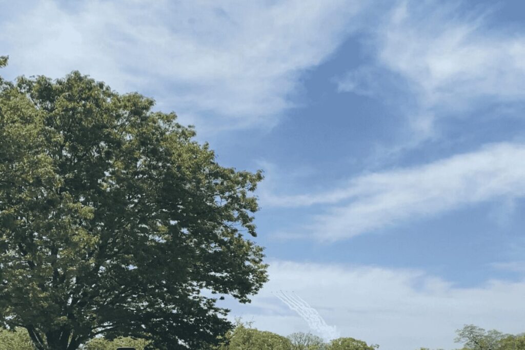 遠くから姿を現したブルーインパルス