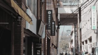 街中から望む熊本城